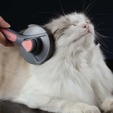 gatinho-relaxando-com-a-escova-removedora-de-pelo