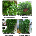 Gancho Invisível Para Plantas - vipzio