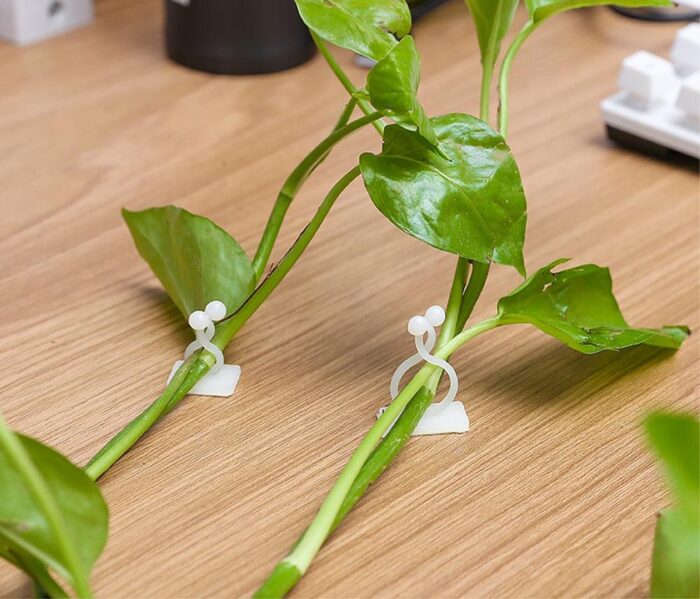 Gancho Invisível Para Plantas - vipzio