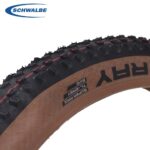 SCHWALBE Racing Ralph Ray 29x2.25 - vipzio
