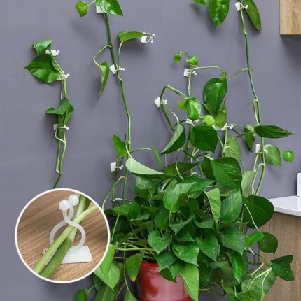 Gancho Invisível Para Plantas - vipzio
