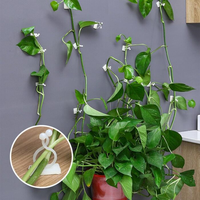Gancho Invisível Para Plantas - vipzio