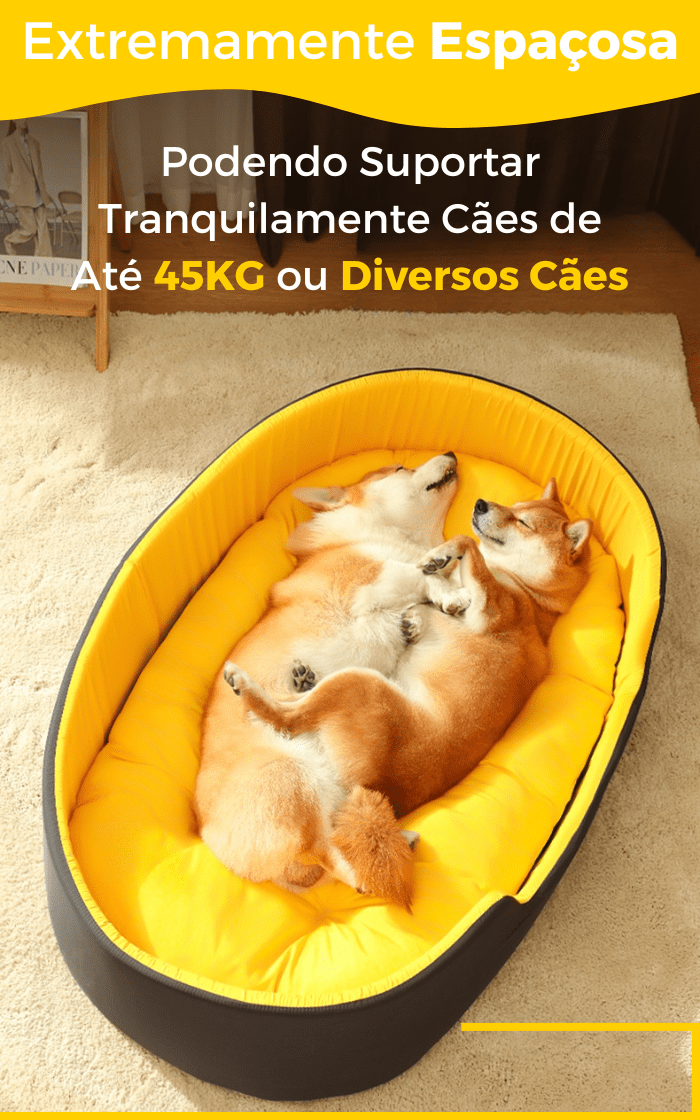 caminha para cachorro, caminha pet confortável, caminha pet ultra macia, caminha para cães de pequeno porte, caminha para cães de grande porte, caminha ortopédica para cães, caminha pet em tecido respirável, caminha pet lavável na máquina, caminha pet com almofada removível, caminha pet antialérgica, caminha pet à prova d'água, caminha pet para cães de até 15kg, caminha pet para cães de porte médio, caminha pet portátil e leve, caminha pet de luxo, caminha pet com desconto