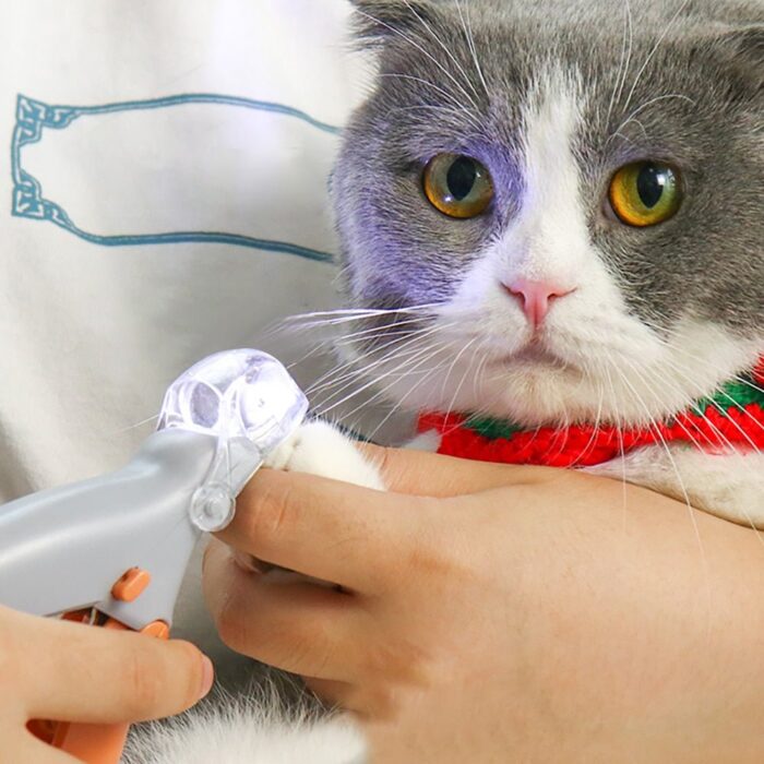 Cortador PET - vipzio