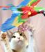 Fly Cat Toy - Brinquedo Voador para Gatos - Simulador de Pássaros elétrico - vipzio