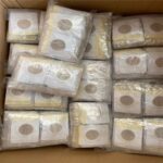 MagnetDetox - 50 pcs - vipzio