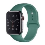 Pulseira de Silicone Casual para Apple Watch/Iwo - vipzio