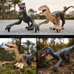 RaptorX - Dinossauro de Controle Remoto - vipzio