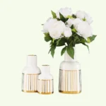 Vasos White Deluxe Vipzio