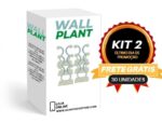 Wall Plant - suporte para plantas de parede - vipzio