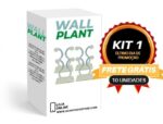 Wall Plant - suporte para plantas de parede - vipzio