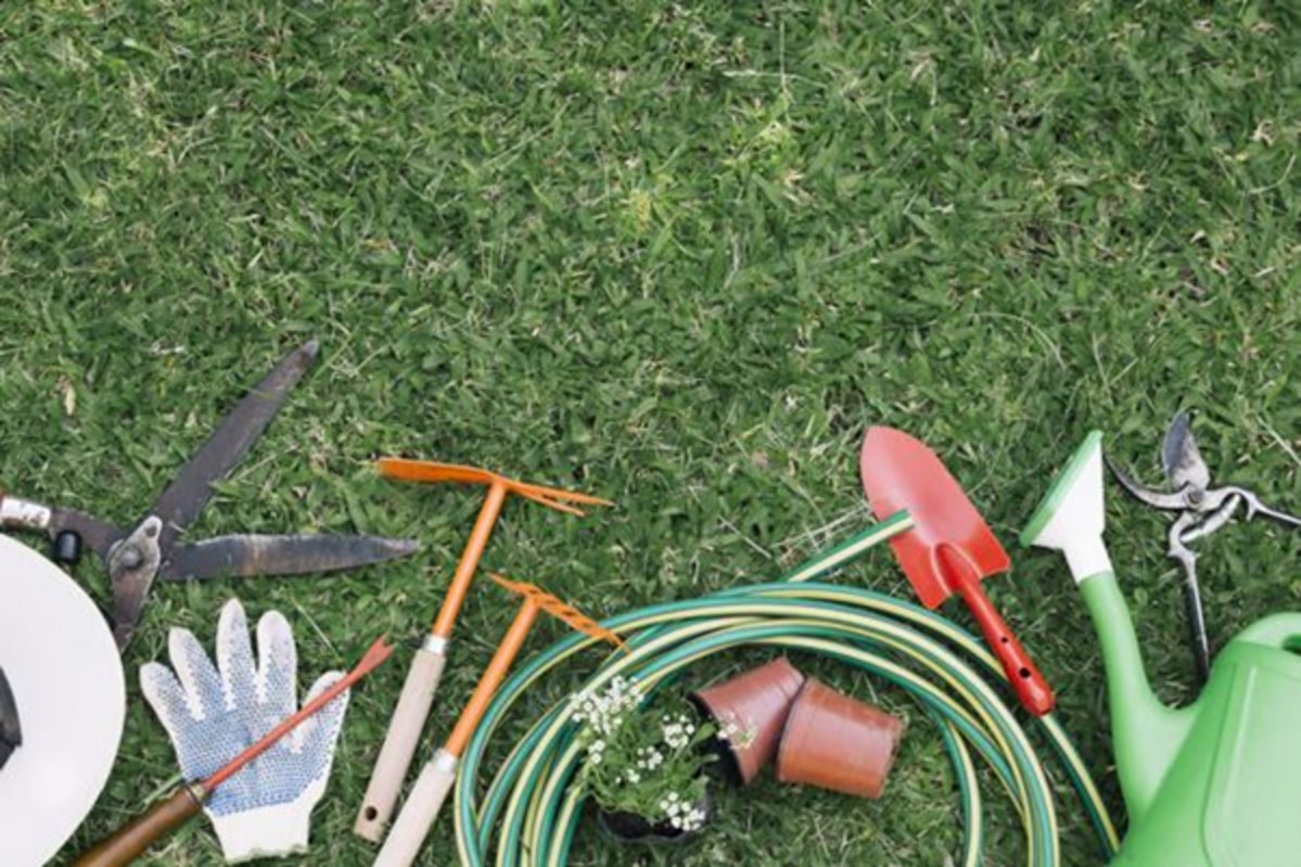 Conheça 6 Ferramentas de Jardinagem