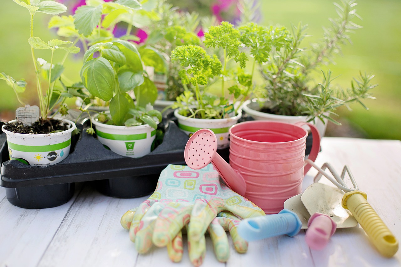 Dicas de Jardinagem Para o Outono