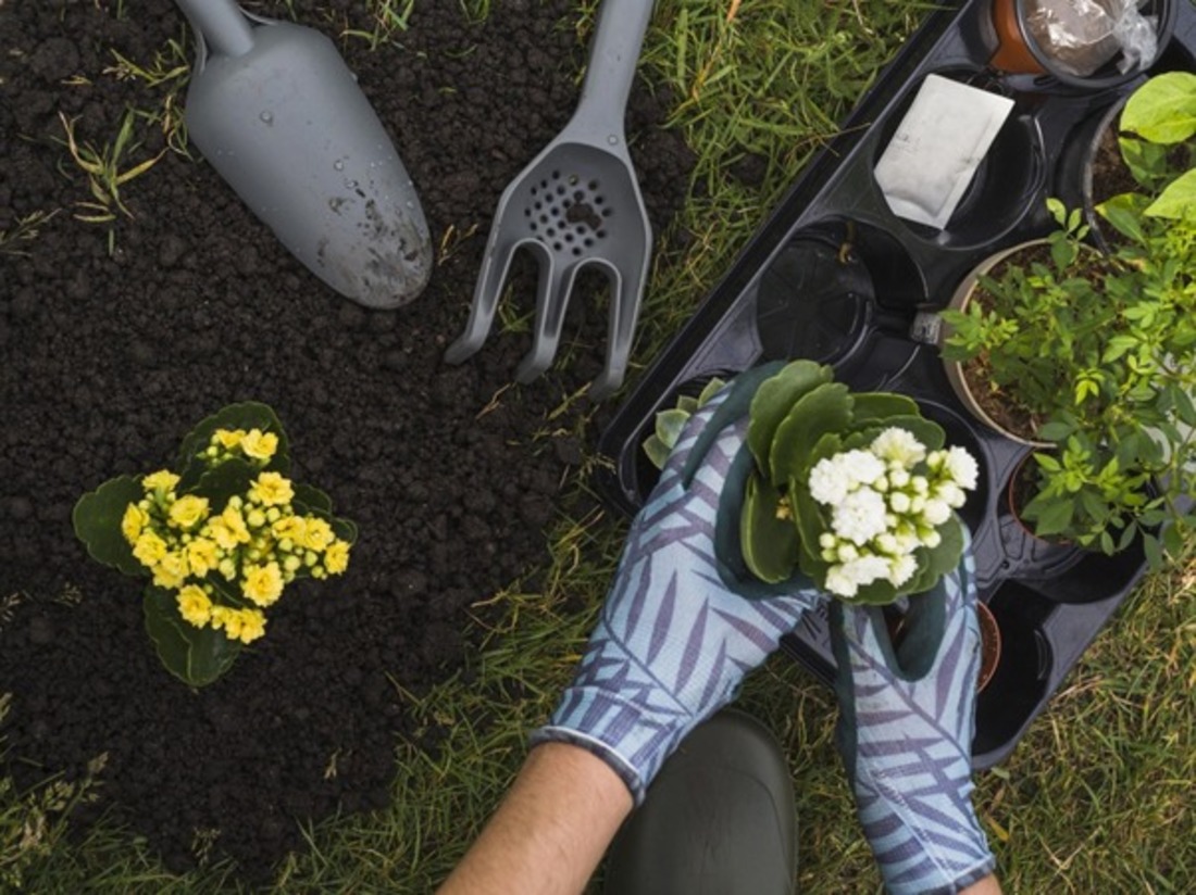 Ferramentas de jardinagem: Tirando a Ferrugem