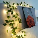 Esta vegetal decorativa com iluminação LED da VipZio traz vida, cor e fulgor ao seu espaço, criando um verdadeiro refúgio de tranquilidade. As luzes LED suaves proporcionam uma atmosfera acolhedora, integrando a serenidade da natureza à sua decoração com um toque moderno e elegante.